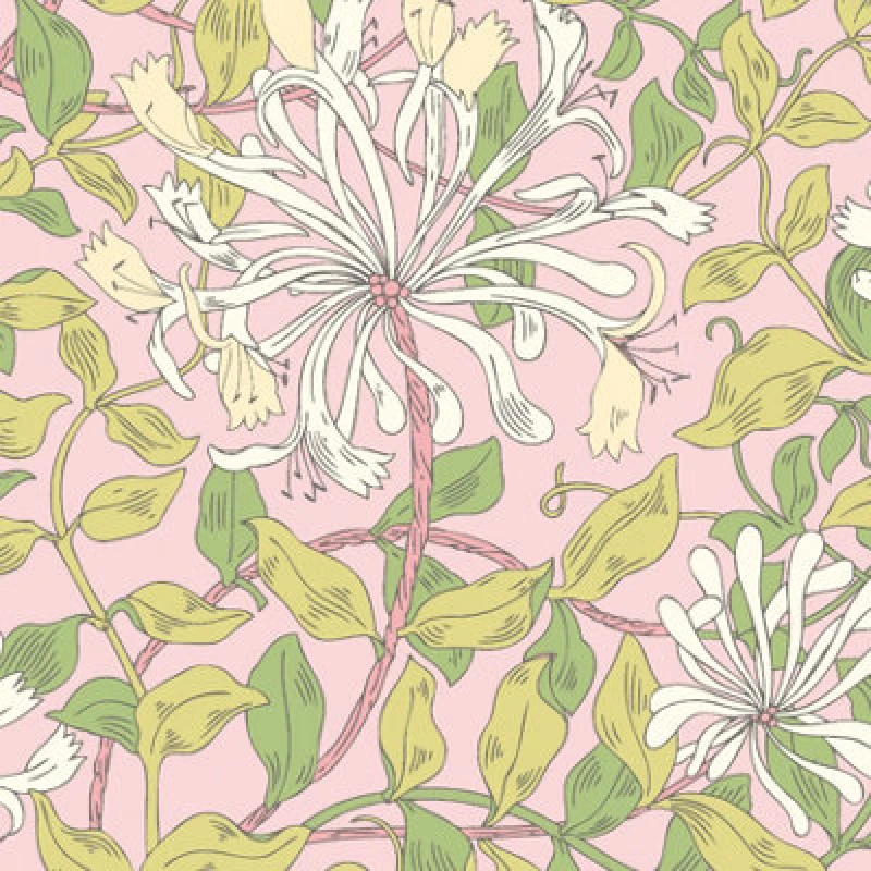 Image of Hoopla Walls Honeysuckle Leaf Trail Soft Pink Smooth Matt Wallpaper