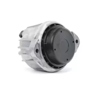 Image of DELPHI Engine mount BMW TEM099 22116768799