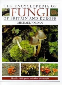 Image of The Encyclopedia of Fungi of Britain and Europe by Michael Jordan Hardback