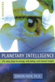 Image of Planetary Intelligence by Simeon Hein Paperback