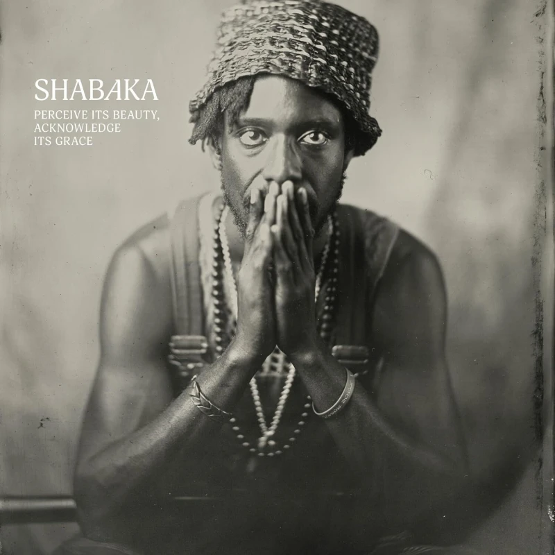 Image of Perceive Its Beauty, Acknowledge Its Grace CD / Album