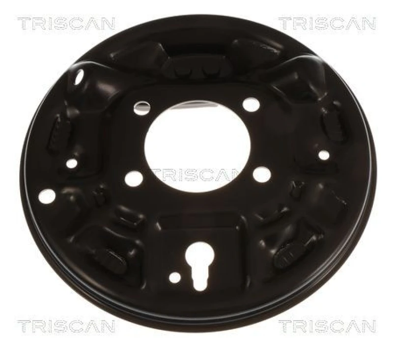 Image of TRISCAN Brake disc backing plate TRISCAN 8125 10201