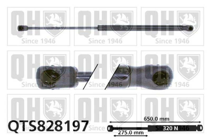 Image of QUINTON HAZELL Bonnet strut QUINTON HAZELL QTS828197