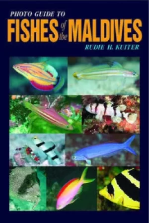 Image of Photo guide to fishes of the Maldives by Rudie H Kuiter