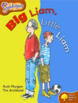 Image of Oxford Reading Tree Level 8 Snapdragons Big Liam Little Liam by Ruth Morgan Book