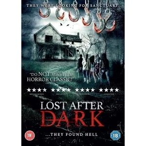 Image of Lost After Dark DVD
