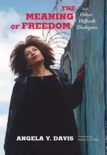 Image of The Meaning of Freedom : And Other Difficult Dialogues