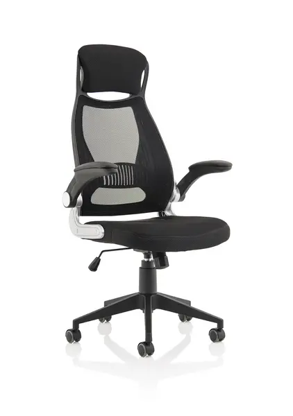Image of Dynamic Office Solutions Saturn Executive Chair EX000241