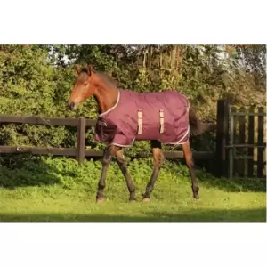 image of Amigo Foal 200g Ripstp 21 - Red