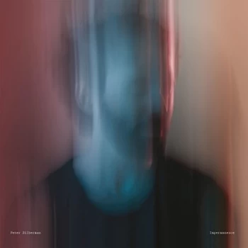Image of Peter Silberman - Impermanence Vinyl