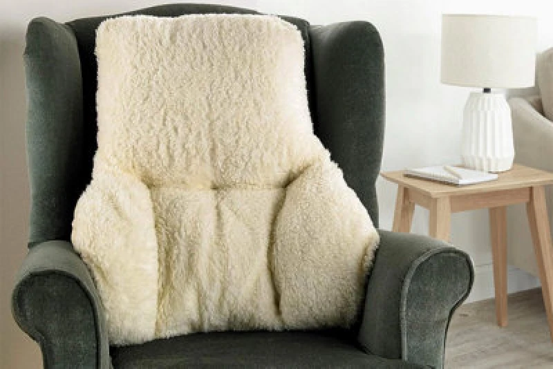 Image of Ezysleep Ezysleep Soft Sherpa Fleece Support Pillow in Beige Beige One Size Unisex 0721545589347