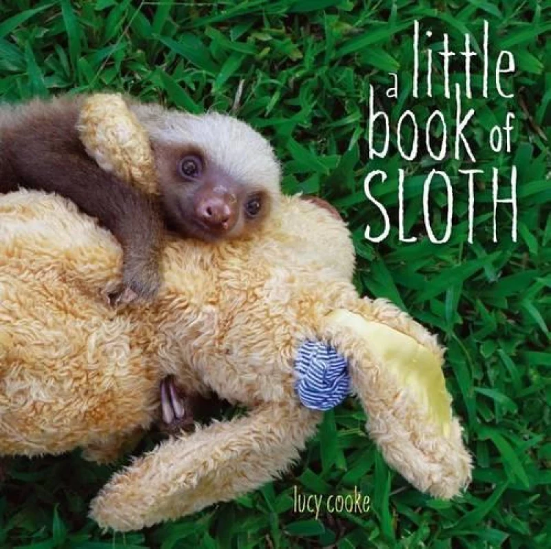 Image of A Little Book of Sloth by Lucy Cooke Hardback