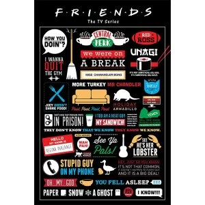 Image of Friends - Infographic Maxi Poster