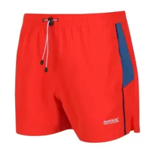 Image of Regatta Rehere Swim Shorts - Red