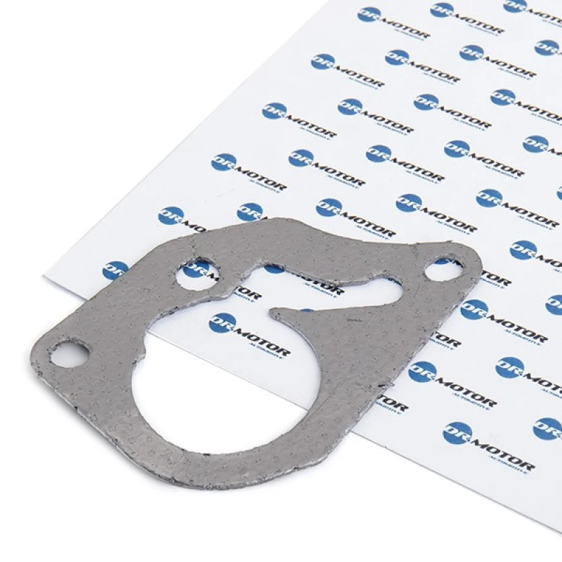 Image of DR.MOTOR AUTOMOTIVE Gasket, vacuum pump DR.MOTOR AUTOMOTIVE DRM0289