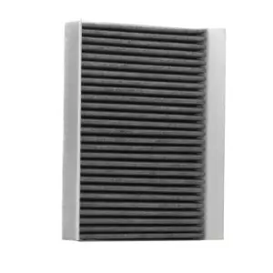 Image of RIDEX Pollen filter FIAT,JEEP 424I0329 6002093141,71775824,71778552 77367185,68338536AA,68350346AA,71775824,71778552,77367185,K68350346AA