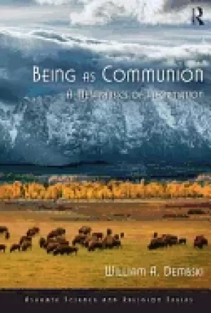Image of being as communion a metaphysics of information