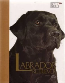 Image of The Labrador Retriever by Craig David Hardback