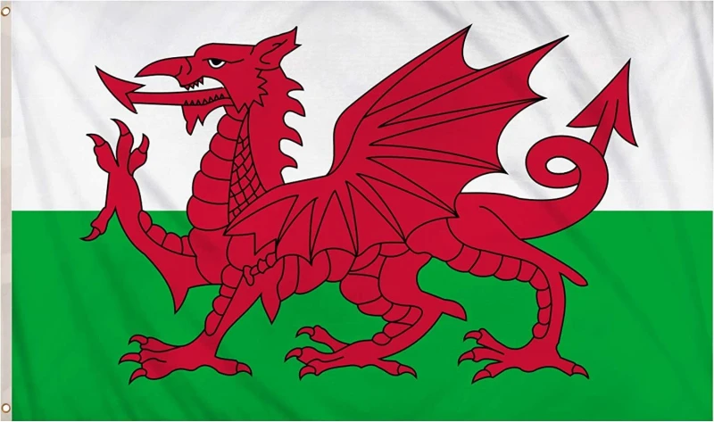 Image of Shatchi 5 X 3ft Welsh National Flags Events Pub BBQ Decorations for Rugby Cricket Football Sports 2023 World Cup Banner Fan Suppor Multi unisex