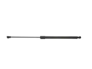 Image of RIDEX Tailgate strut 219G0272 Gas spring, boot- / cargo area,Boot struts BMW,X5 (E53)