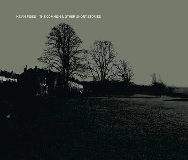Image of The Common & Other Short Stories CD / Album Digipak