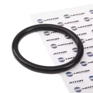 Image of DR.MOTOR AUTOMOTIVE Intake Manifold Gasket DRM025 Inlet Manifold Gasket,Gasket, intake manifold RENAULT,DACIA,CLIO II (BB0/1/2_, CB0/1/2_)