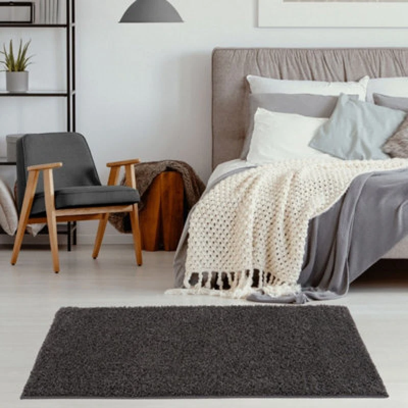 Image of The Rugs Myshaggy Collection Living Room Rugs Solid Design Dark Grey