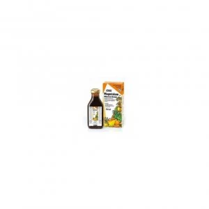 Image of Floradix - Magnesium Liquid Mineral Suppl 250ml