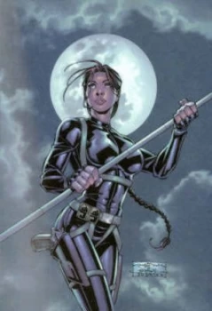 Image of Tomb Raider Tankobon Volume 3 by Andy Park Paperback