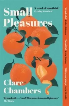 Image of Small Pleasures : Longlisted for the Womens Prize for Fiction 2021