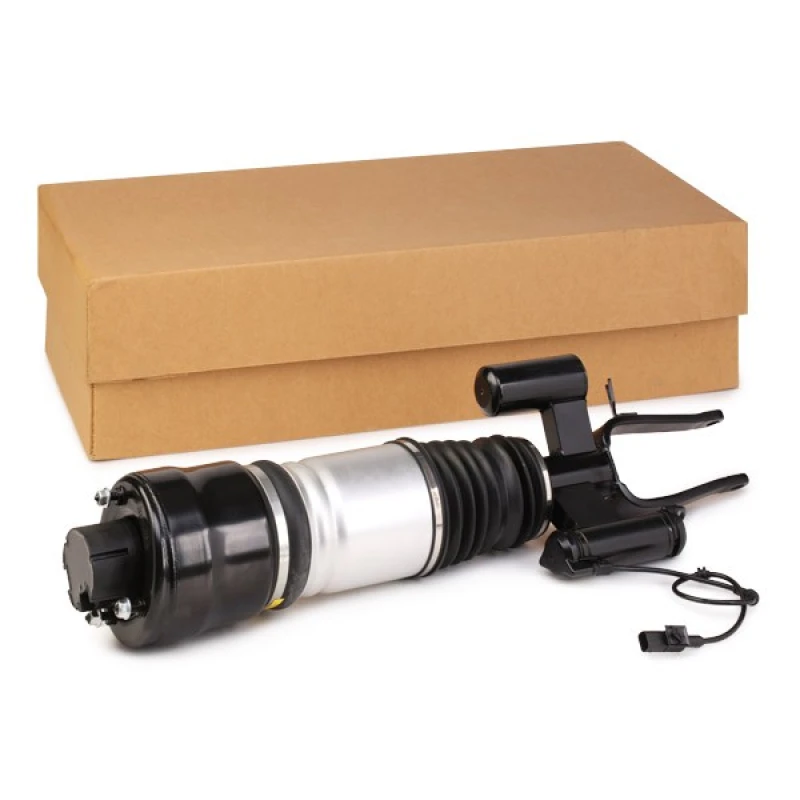 Image of RIDEX Air suspension strut RIDEX 4118A0019