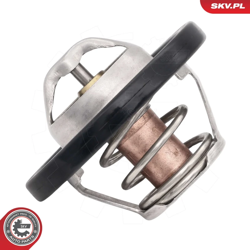 Image of ESEN SKV Thermostat ESEN SKV 20SKV243