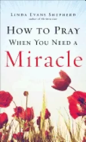 Image of how to pray when you need a miracle