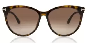 Tom Ford Sunglasses FT0787 MAXIM 52F