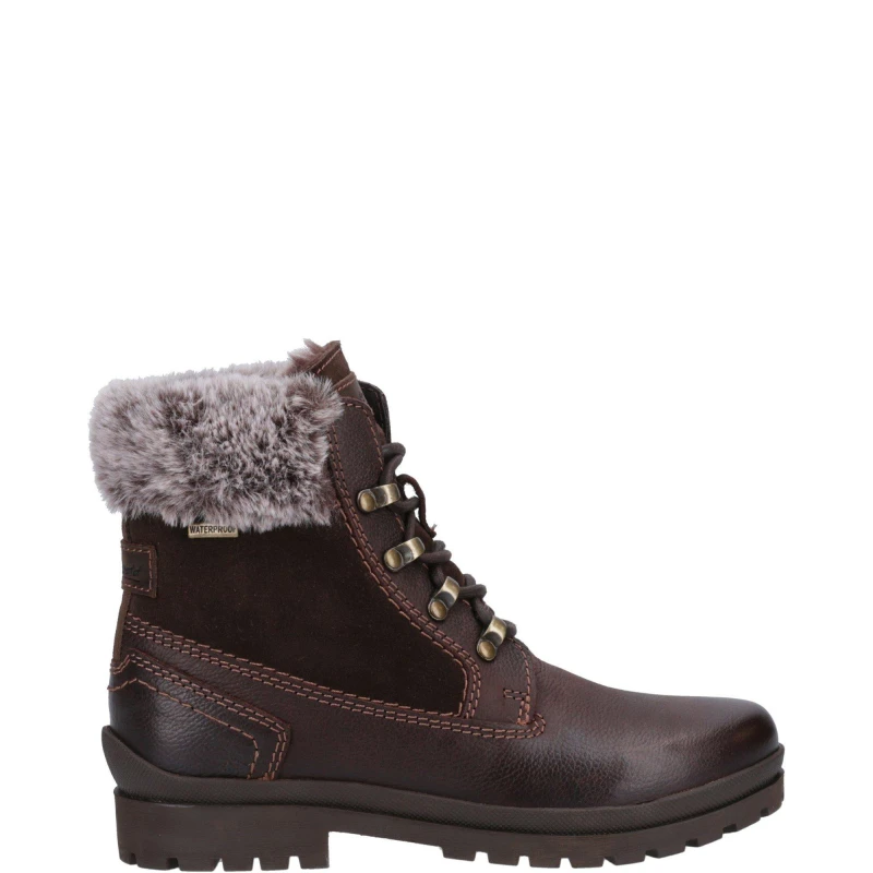 Image of Cotswold Womens Evenlode Lace Up Zip Waterproof Country Ankle Boots - UK 3 Brown female GDE2801BRO3
