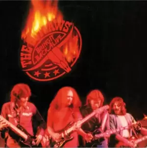 Image of The Outlaws - Bring It Back Alive CD Album - Used