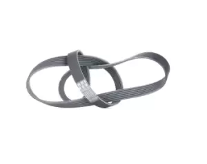 Image of CONTITECH V-ribbed belt 6PK1310 Serpentine belt,Auxiliary belt OPEL,FORD,FIAT,Astra H Caravan (A04),Astra H Schragheck (A04),Astra H GTC (A04)