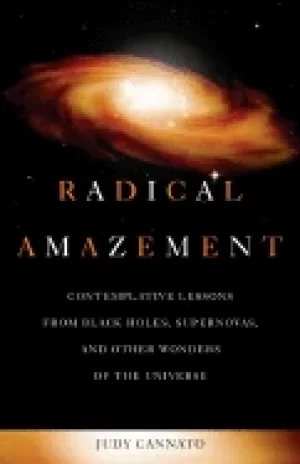 Image of radical amazement contemplative lessons from Black holes supernovas and oth