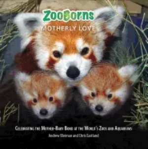 Image of zooborns motherly love celebrating the mother baby bond at the worlds zoos