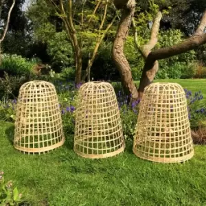 Image of Gardenskill - Bamboo Bell Cloche - Small (pack of 3)