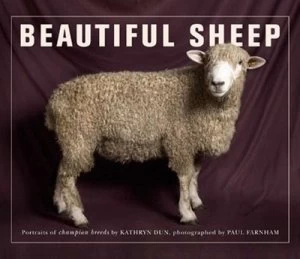 Image of Beautiful Sheep by Kathryn Dun Paperback