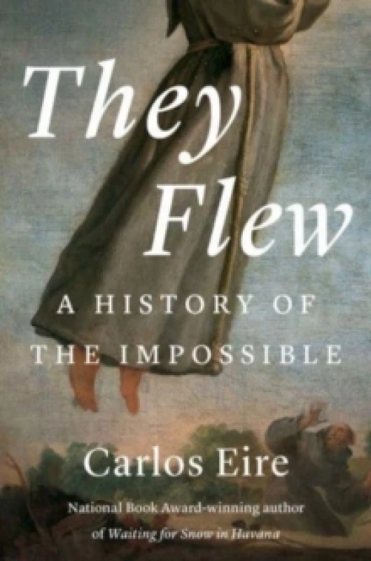 Image of They Flew : A History of the Impossible Paperback / softback