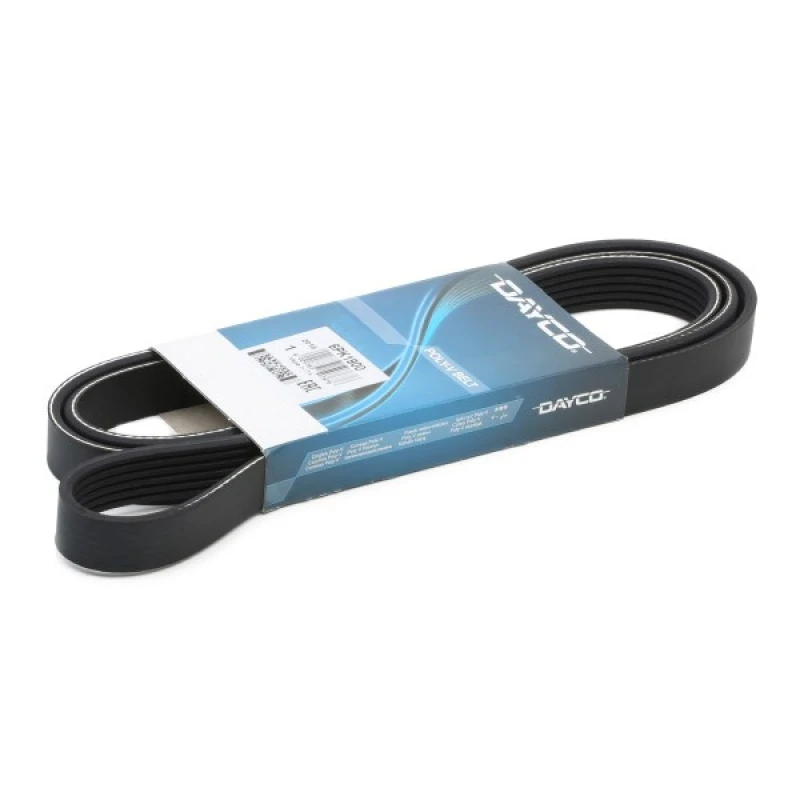 Image of DAYCO 6PK1900 V-ribbed belt V-Ribbed Belts (305)