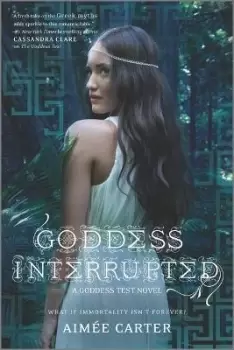 Image of Goddess Interrupted by Aime Carter