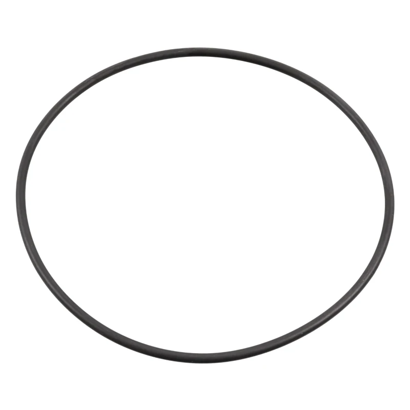 Image of FEBI BILSTEIN 48456 Gaskets FPM (fluoride rubber) Gasket,water pump (314)