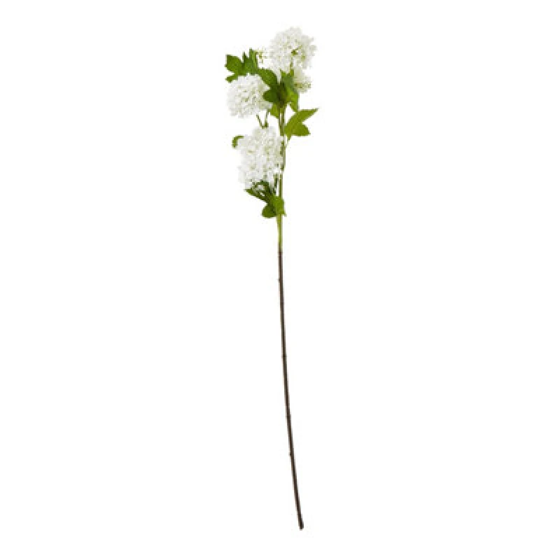 Image of Cream Snowball Viburnum Spray