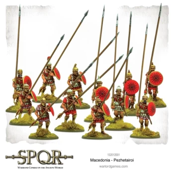 image of SPQR: Macedonia - Pezhetairoi