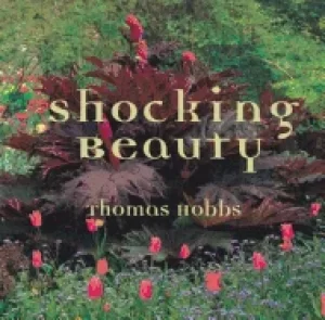 Image of shocking beauty