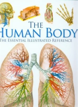 Image of The Human Body by Vigu-Martn Hardback