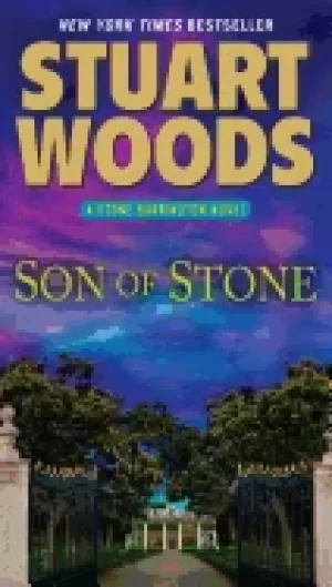 Image of son of stone a stone barrington novel